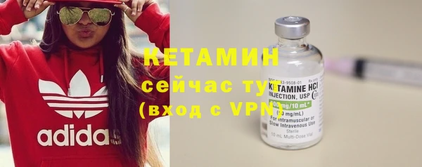 сатива Аркадак