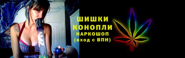 сатива Аркадак