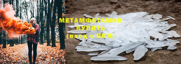 прущие грибы Армянск