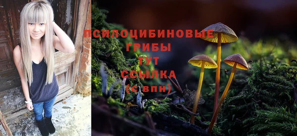 прущие грибы Армянск